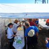 2012-11-le fromage_46